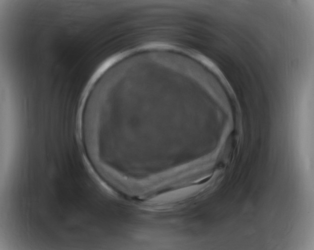 X0000085321199200703302037