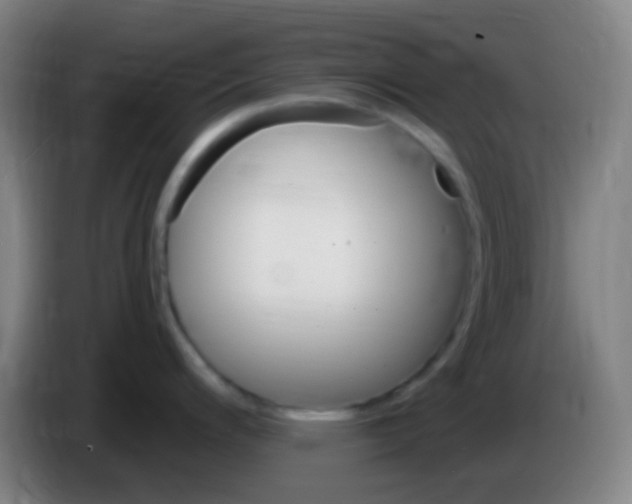 X0000085321200200703302037