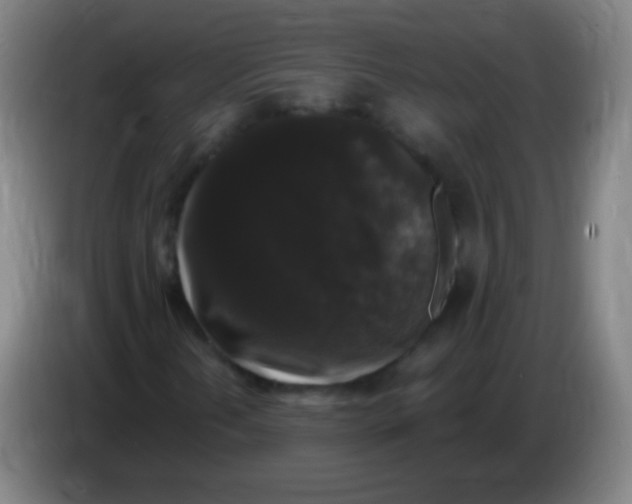 X0000085321202200703302037