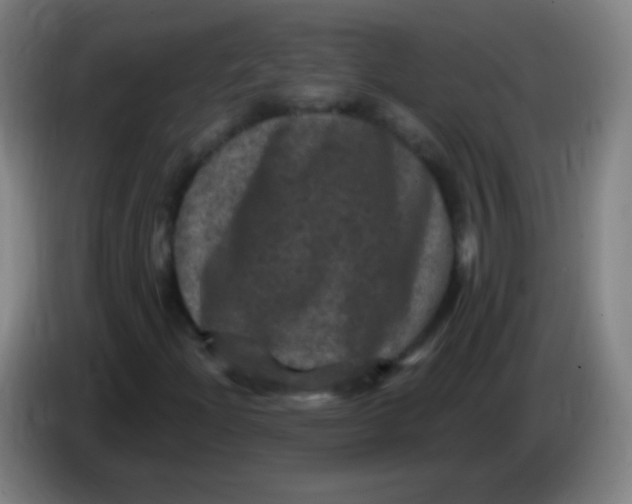 X0000085321204200703302037