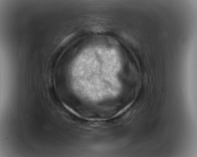 X0000085321205200703302037