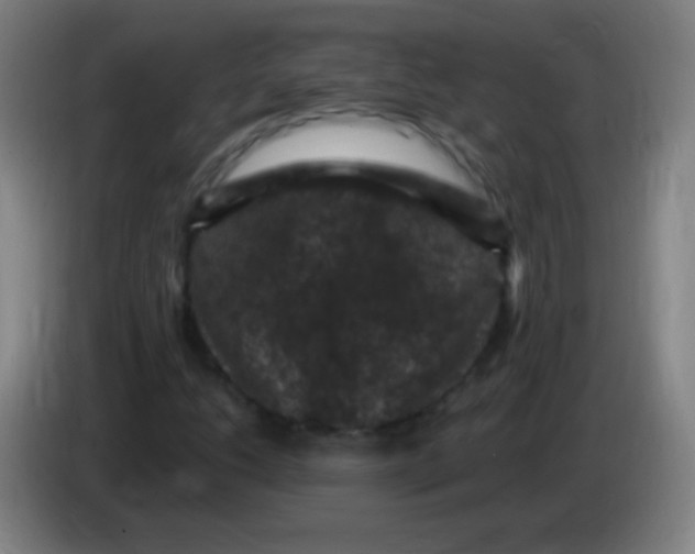 X0000085321206200703302037