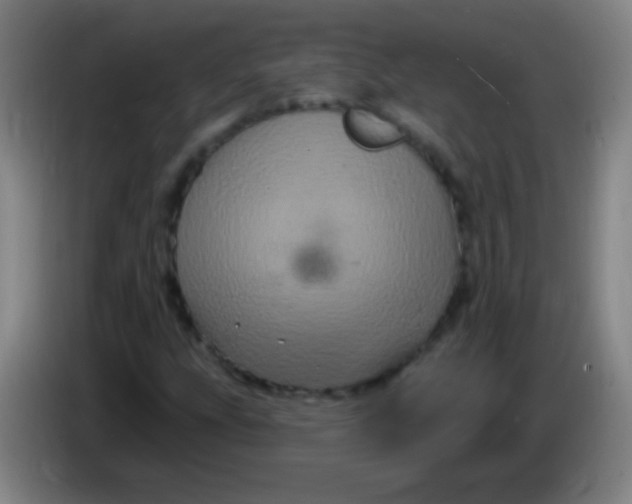 X0000085321207200703302037