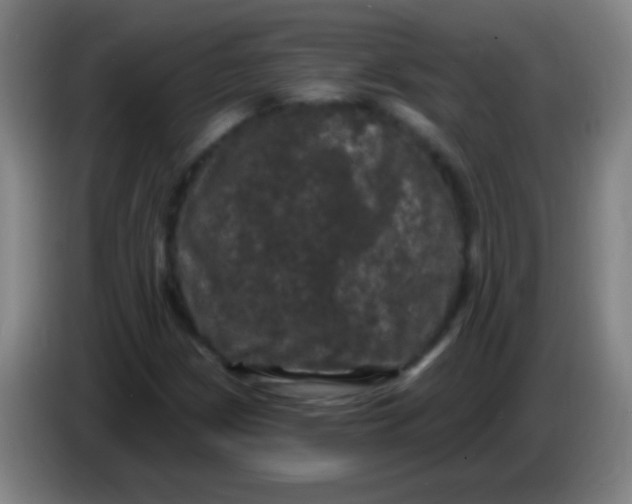 X0000085321209200703302037