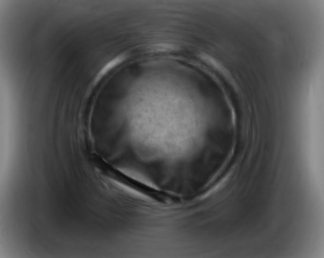 X0000085321210200703302037