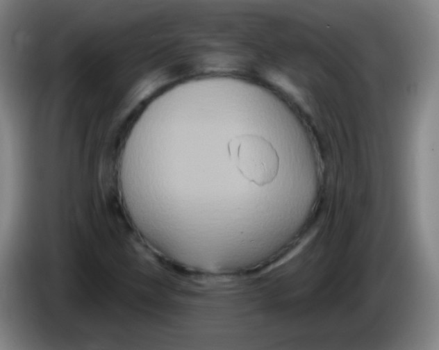 X0000085321211200703302037