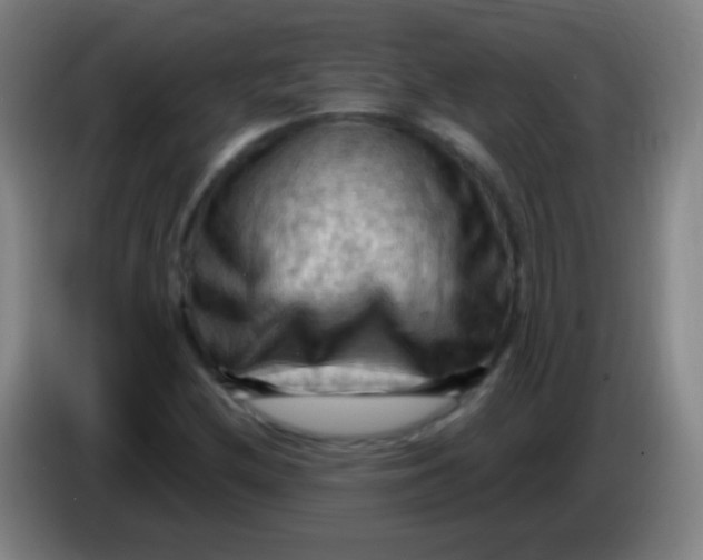 X0000085321212200703302037