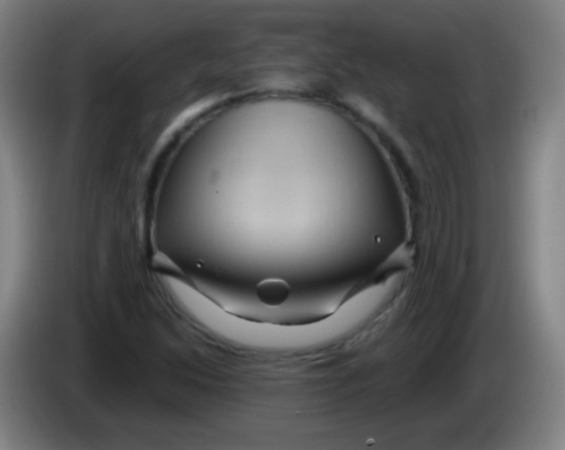 X0000085321214200703302037