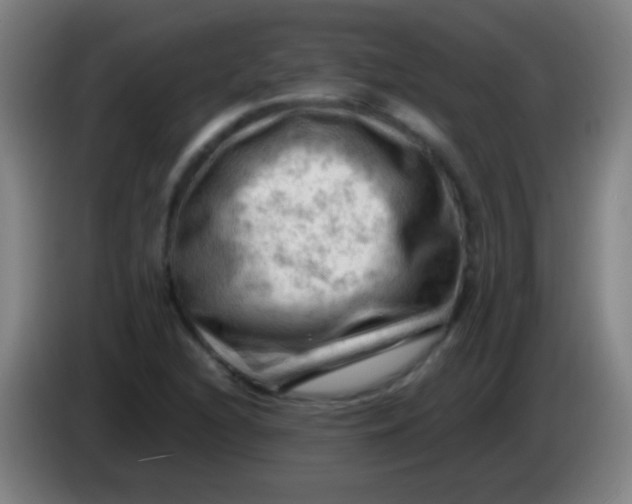 X0000085321216200703302037