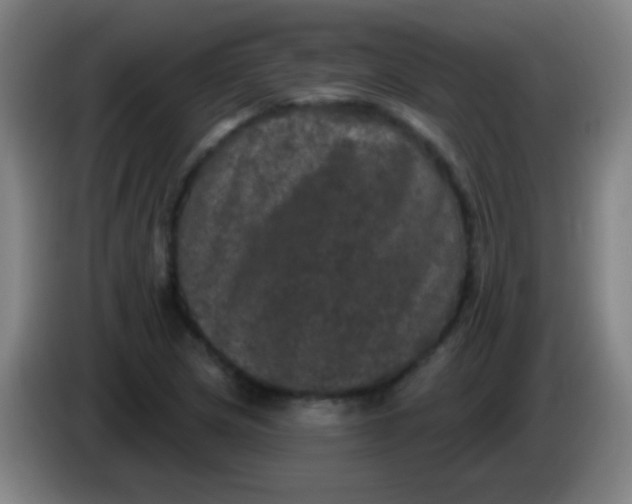 X0000085321217200703302037