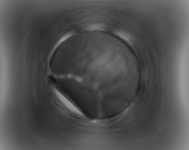 X0000085321219200703302037