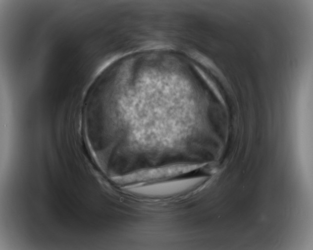 X0000085321220200703302037