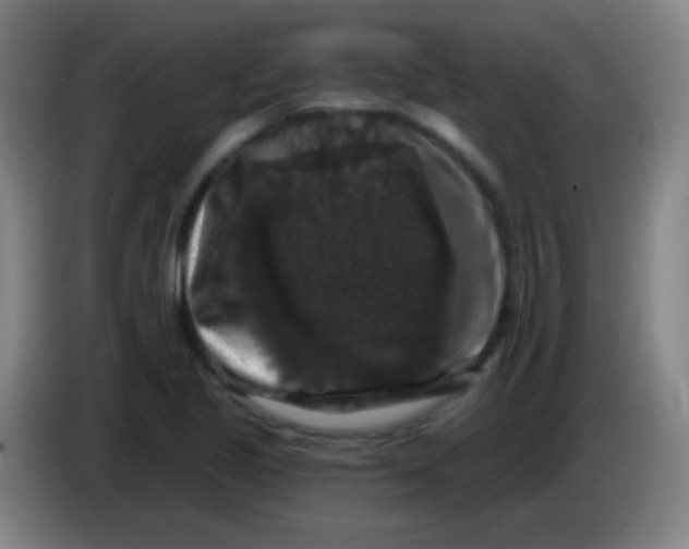 X0000085321221200703302037