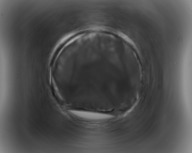 X0000085321223200703302037