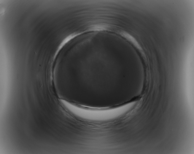 X0000085321226200703302037