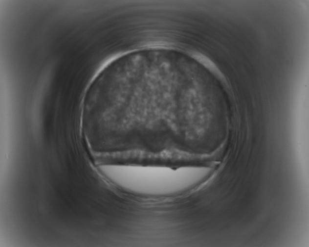 X0000085321228200703302037