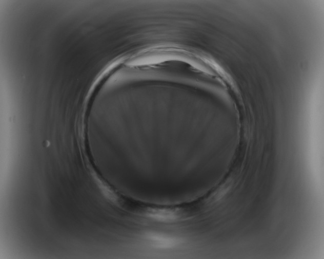 X0000085321229200703302037