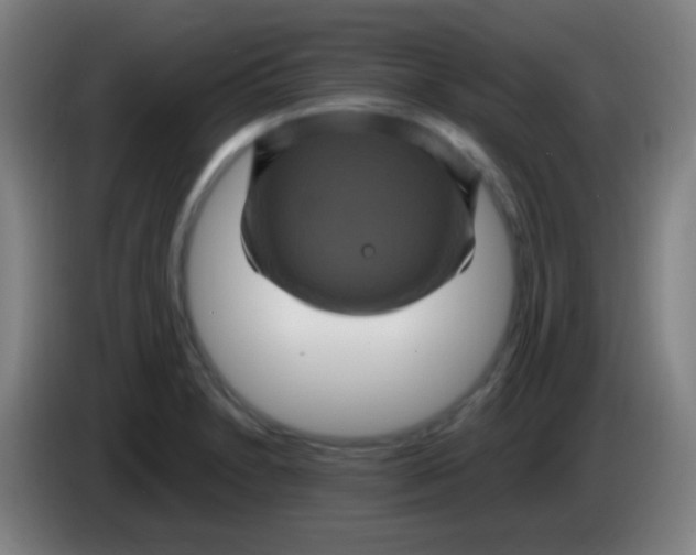 X0000085321230200703302037