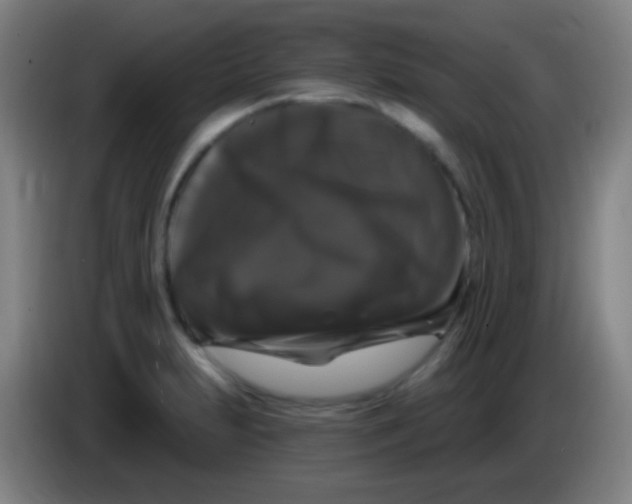 X0000085321231200703302037