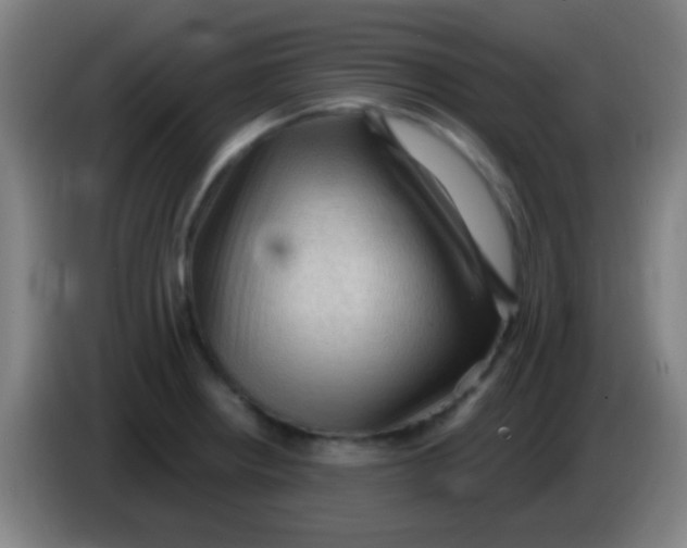 X0000085321234200703302037