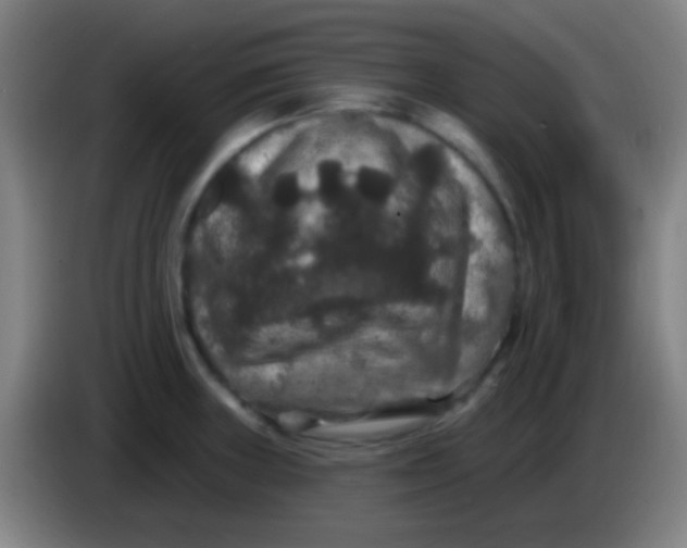 X0000085321235200703302037