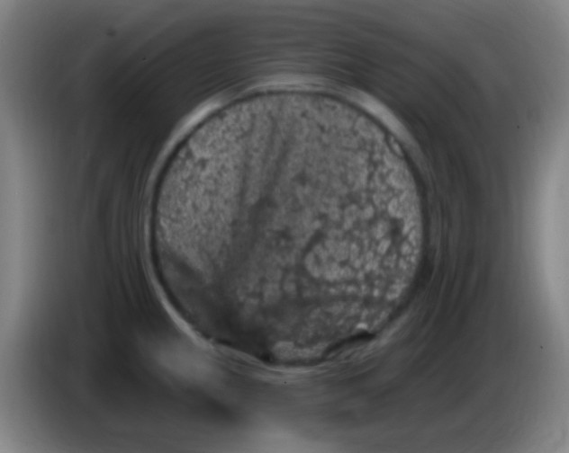 X0000085321237200703302037