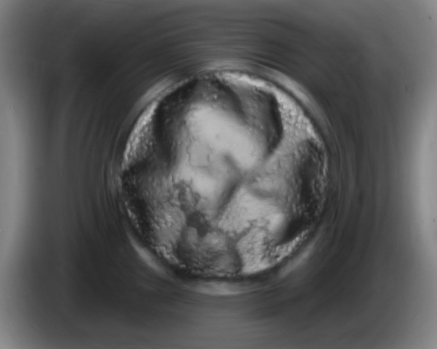 X0000085321241200703302037