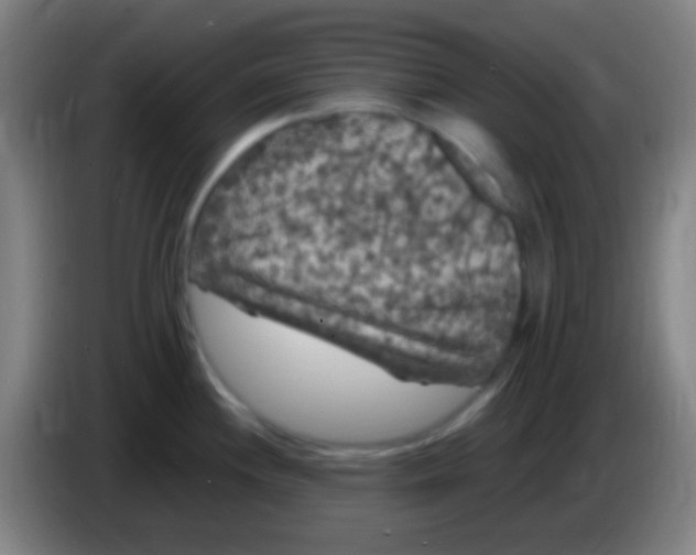 X0000085321244200703302037