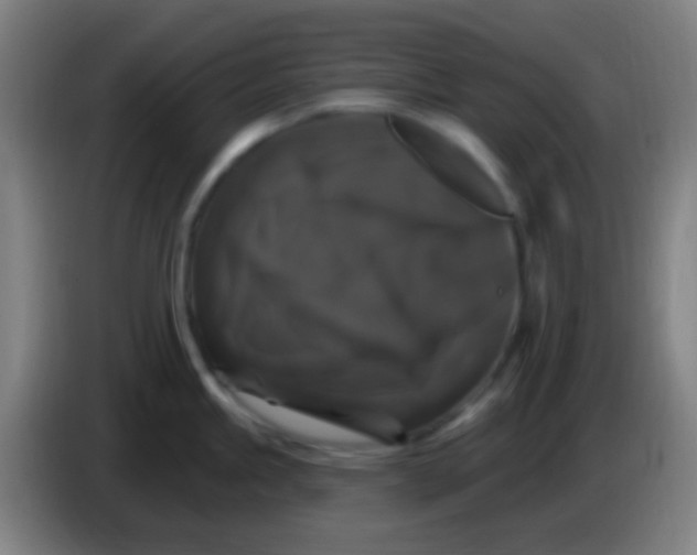 X0000085321245200703302037