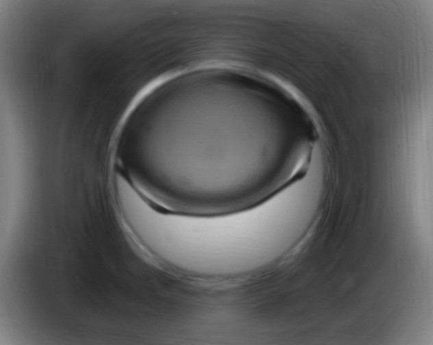 X0000085321246200703302037