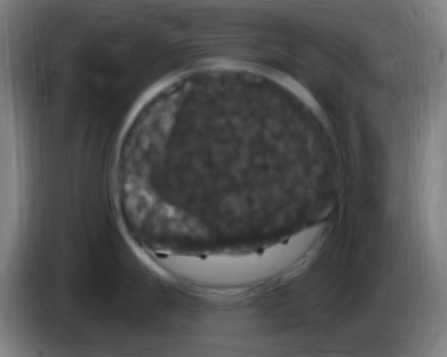 X0000085321247200703302037