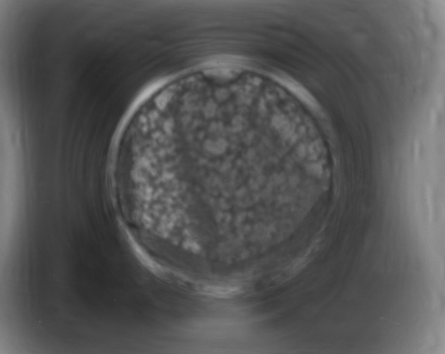 X0000085321248200703302037