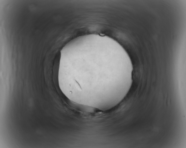 X0000085321249200703302037