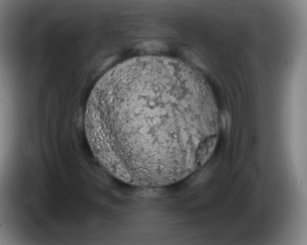 X0000085321251200703302037