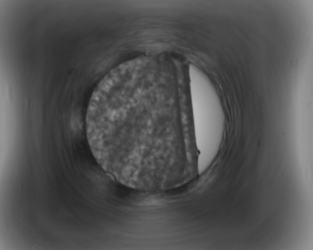 X0000085321252200703302037