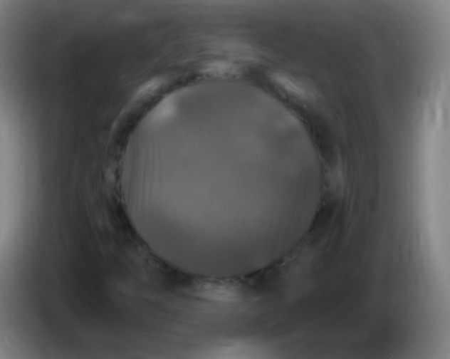 X0000085321254200703302037