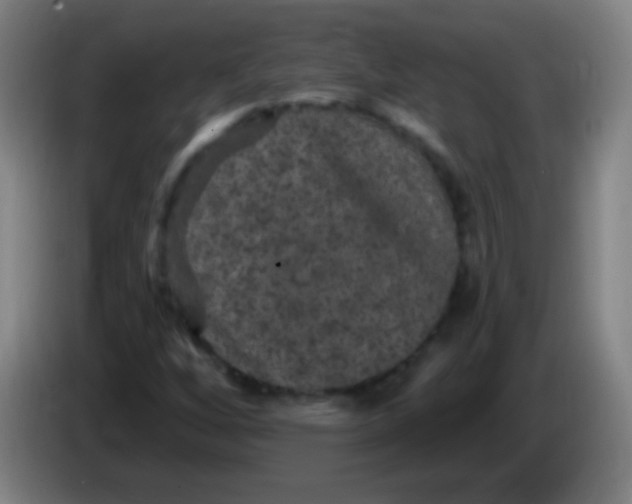 X0000085321256200703302037