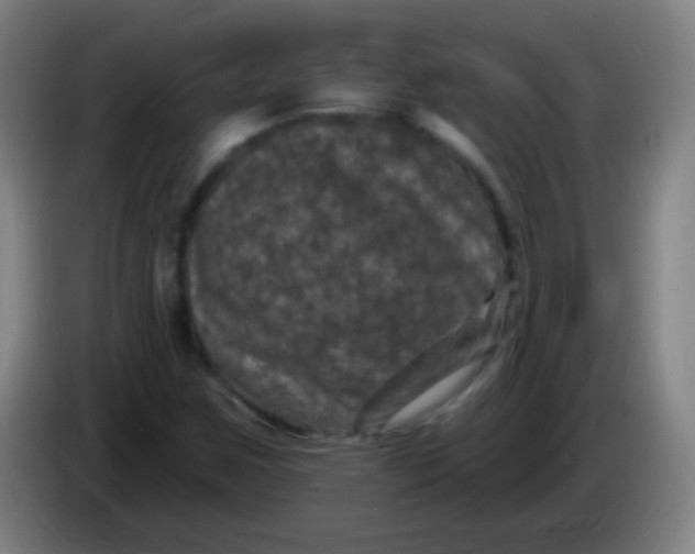 X0000085321259200703302037