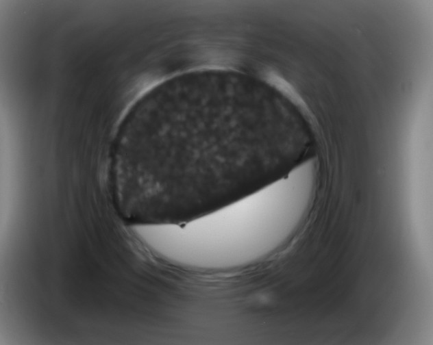 X0000085321260200703302037