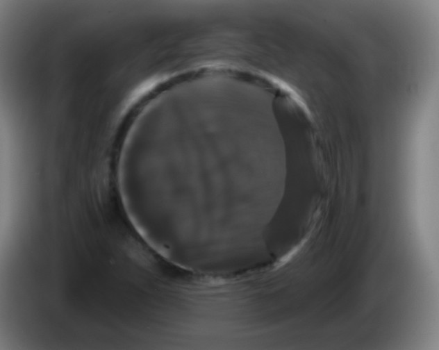 X0000085321263200703302037