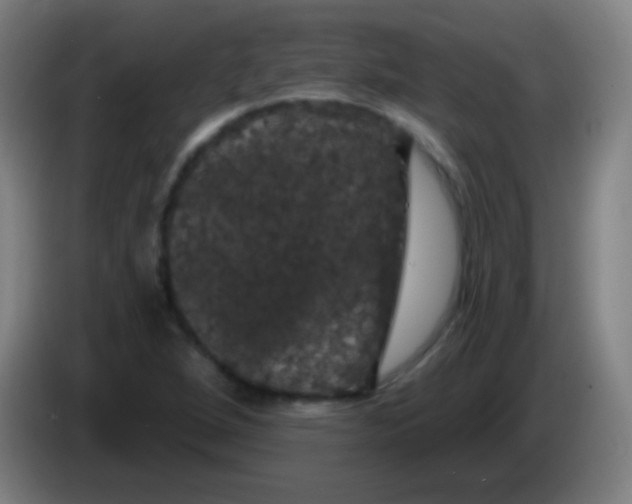 X0000085321264200703302037