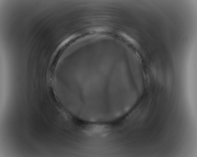 X0000085321266200703302036