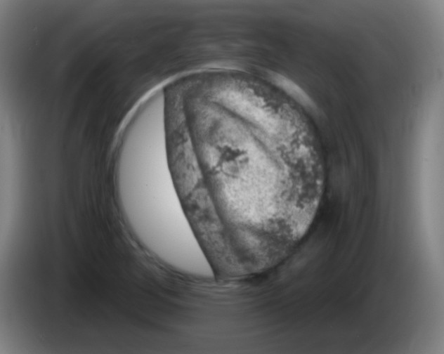 X0000085321268200703302036