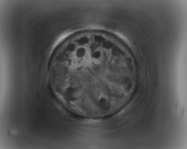 X0000085321271200703302036