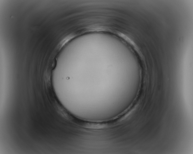 X0000085321273200703302036