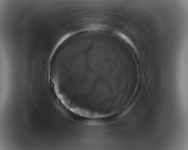 X0000085321275200703302036
