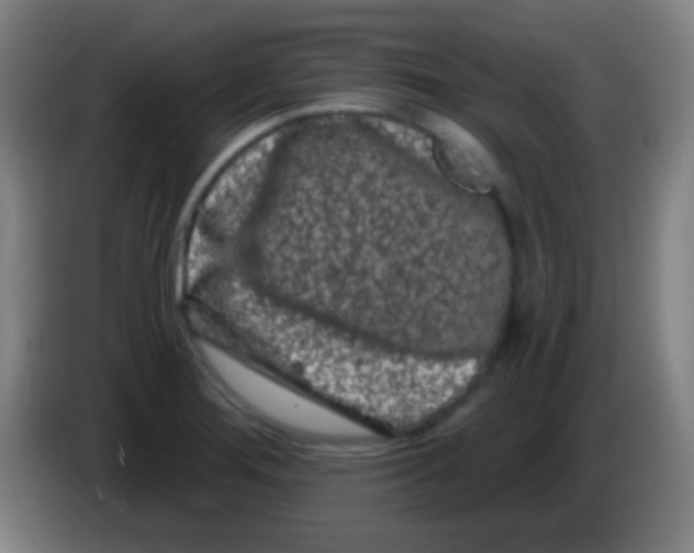 X0000085321276200703302036