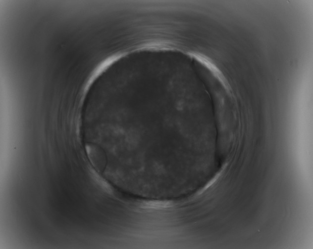 X0000085321277200703302036