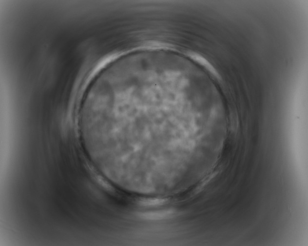 X0000085321278200703302036