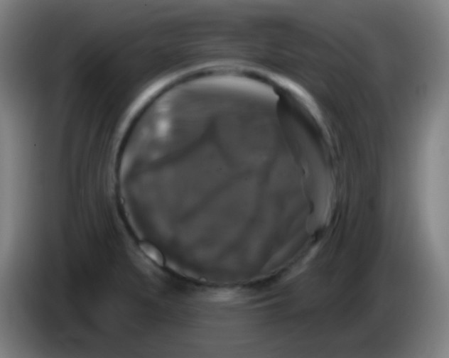 X0000085321279200703302036